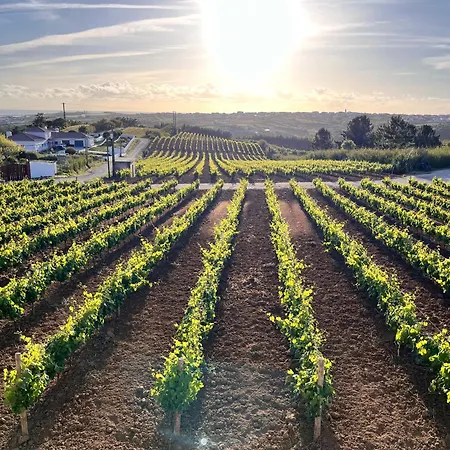 Al Casa Branca Villa