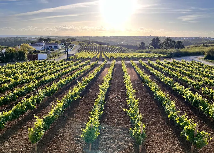 Al Casa Branca Villa