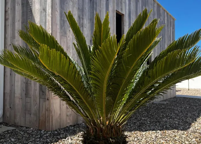 Al Casa Branca Villa Lourinha (Lisbon)